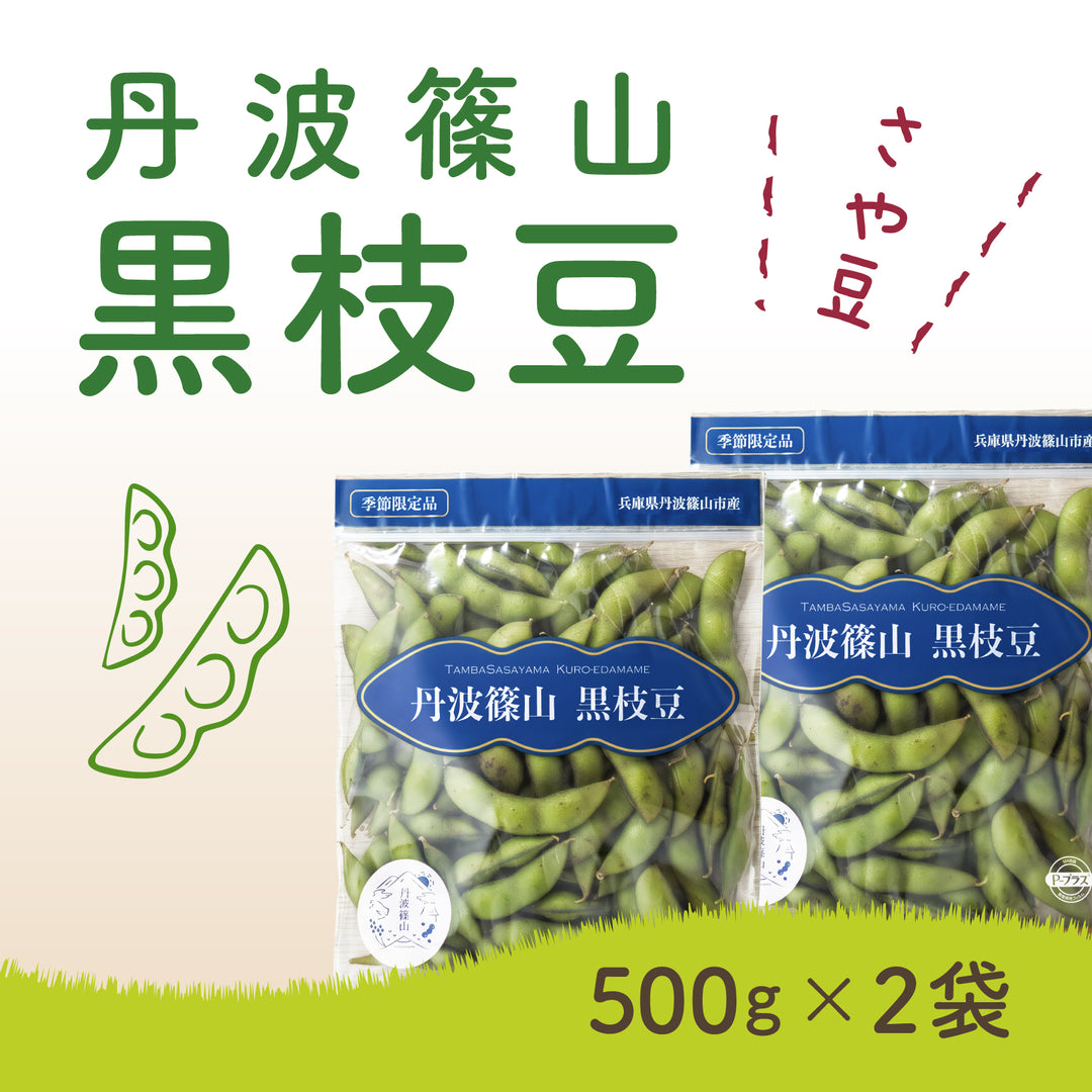 2025年産 丹波黒枝豆 さや豆【晩摘み】（500g×2袋） – 丹波ささやまファン