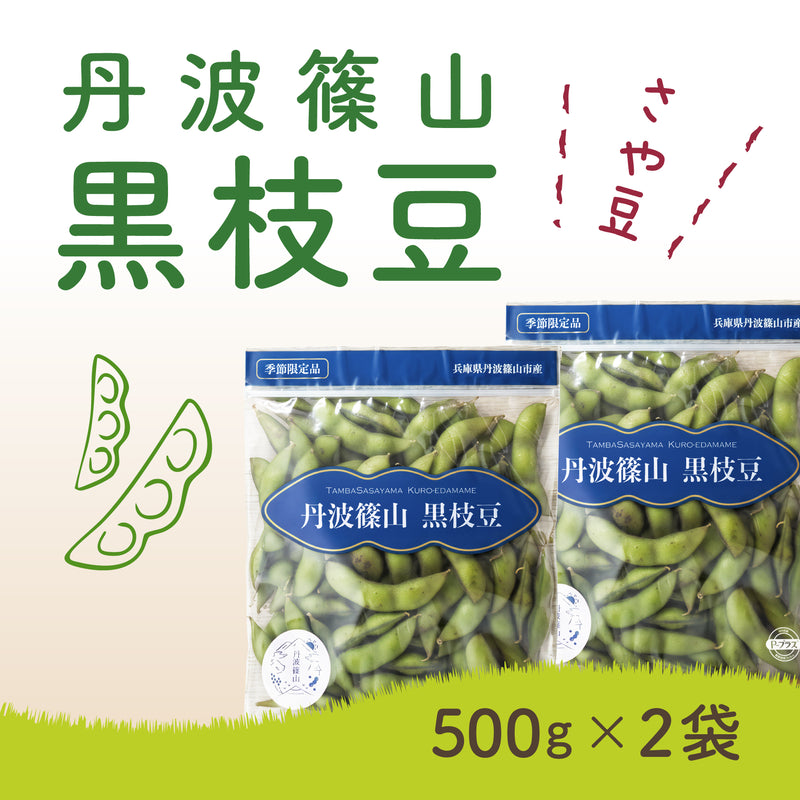 2025年産 丹波黒枝豆 さや豆（500g×2袋）