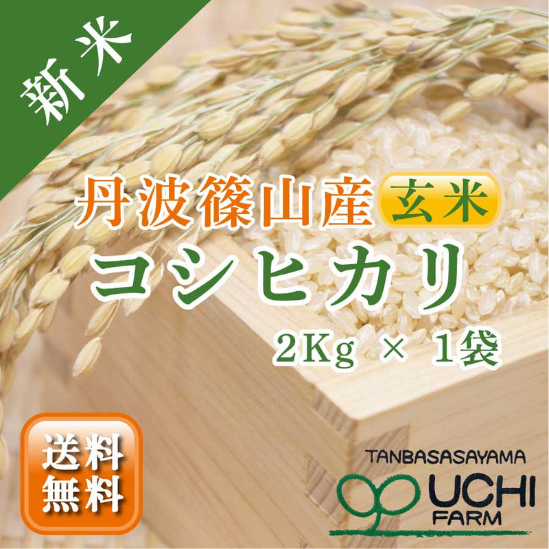 【大内農場】丹波篠山産 新米コシヒカリ 玄米 2kg×1袋