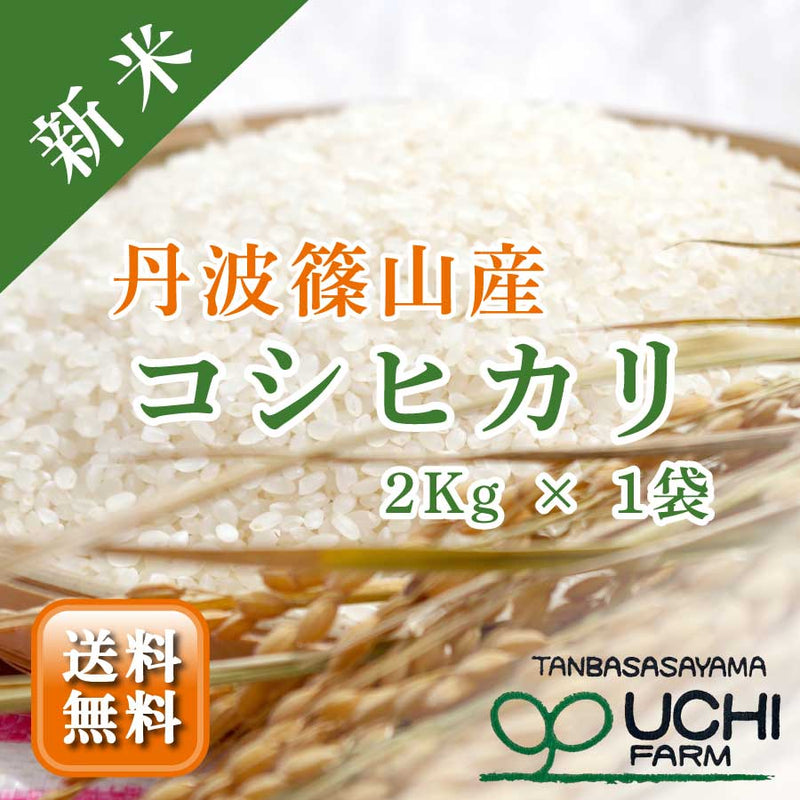 【大内農場】丹波篠山産 新米コシヒカリ 精白米 2kg×1袋